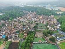 刚柔相济，强本固基｜江门政法基层行⑥鹤山站