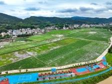 南龙村“产业村长”钟春晓：一田三收新“稻”路|产业村长上岗 乡村振兴有方①