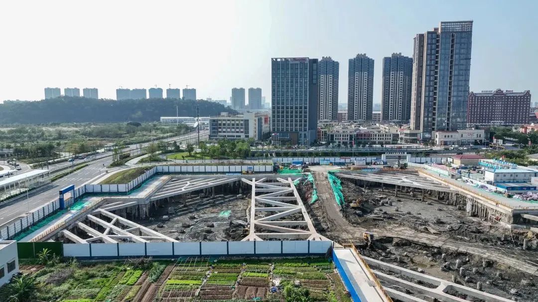 图/佛山新闻网
