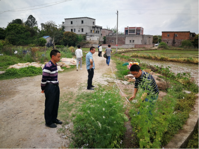 驻镇工作队对接施工单位完善农田水利设施