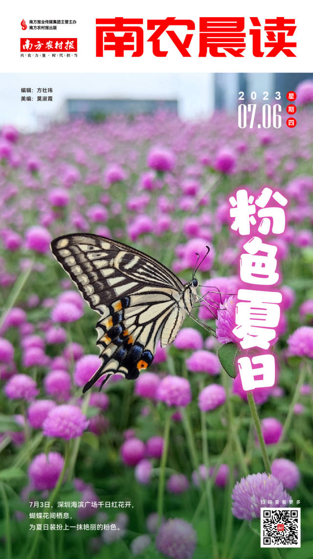 南方农村报 樊静东 制图