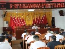 【聚焦兴宁“百千万工程”】比拼赶超，细照笃行！罗岗镇全力以赴推动实体经济好快发展