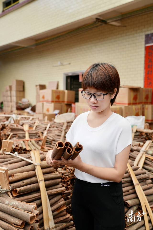 羅定源發(fā)桂廠負責人崔彩嬋在肉桂加工廠