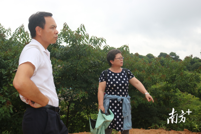 华南农业大学荔枝“轻骑兵”团队走进中田村荔枝园。黄山桂 摄