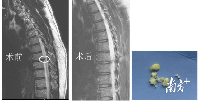 通讯员 华医 供图
