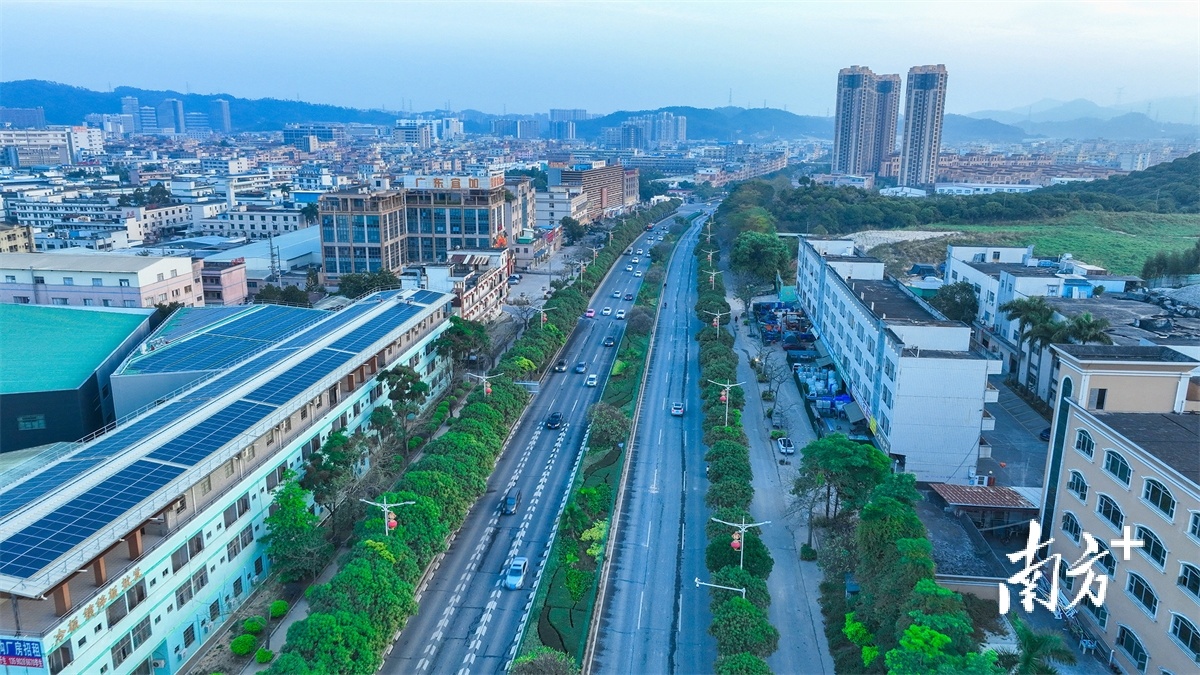 东莞市公常路改造工程。李鄂摄