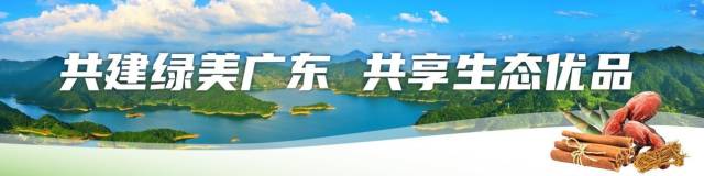南方農(nóng)村報 惠婷婷 拍攝