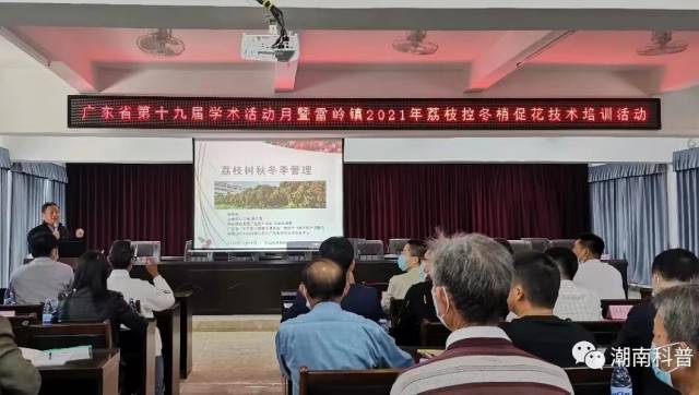 雷嶺荔枝技術(shù)培訓活動,。