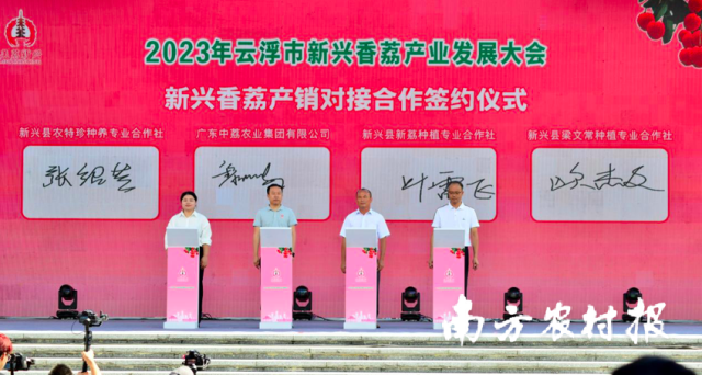 新兴香荔产销对接合作签约仪式