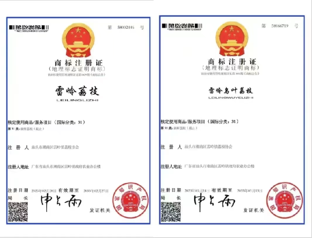 “雷嶺荔枝”“雷嶺烏葉荔枝”申獲國家地標證明商標,。