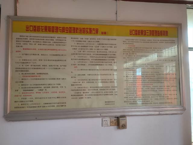 掛在協(xié)會辦公室墻上的雷嶺荔枝出口標準制度,，落款時間正是首次出口那年。