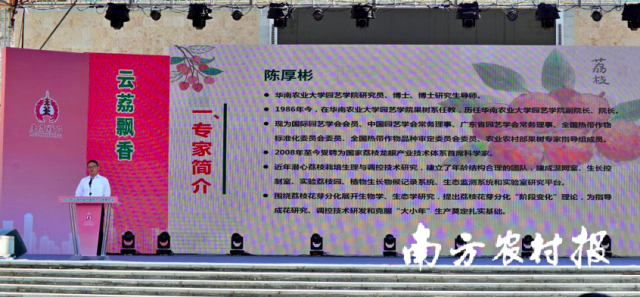 国家荔枝龙眼产业技术体系首席科学家陈厚彬现场推介新兴香荔
