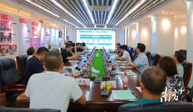 通讯员 高医 供图