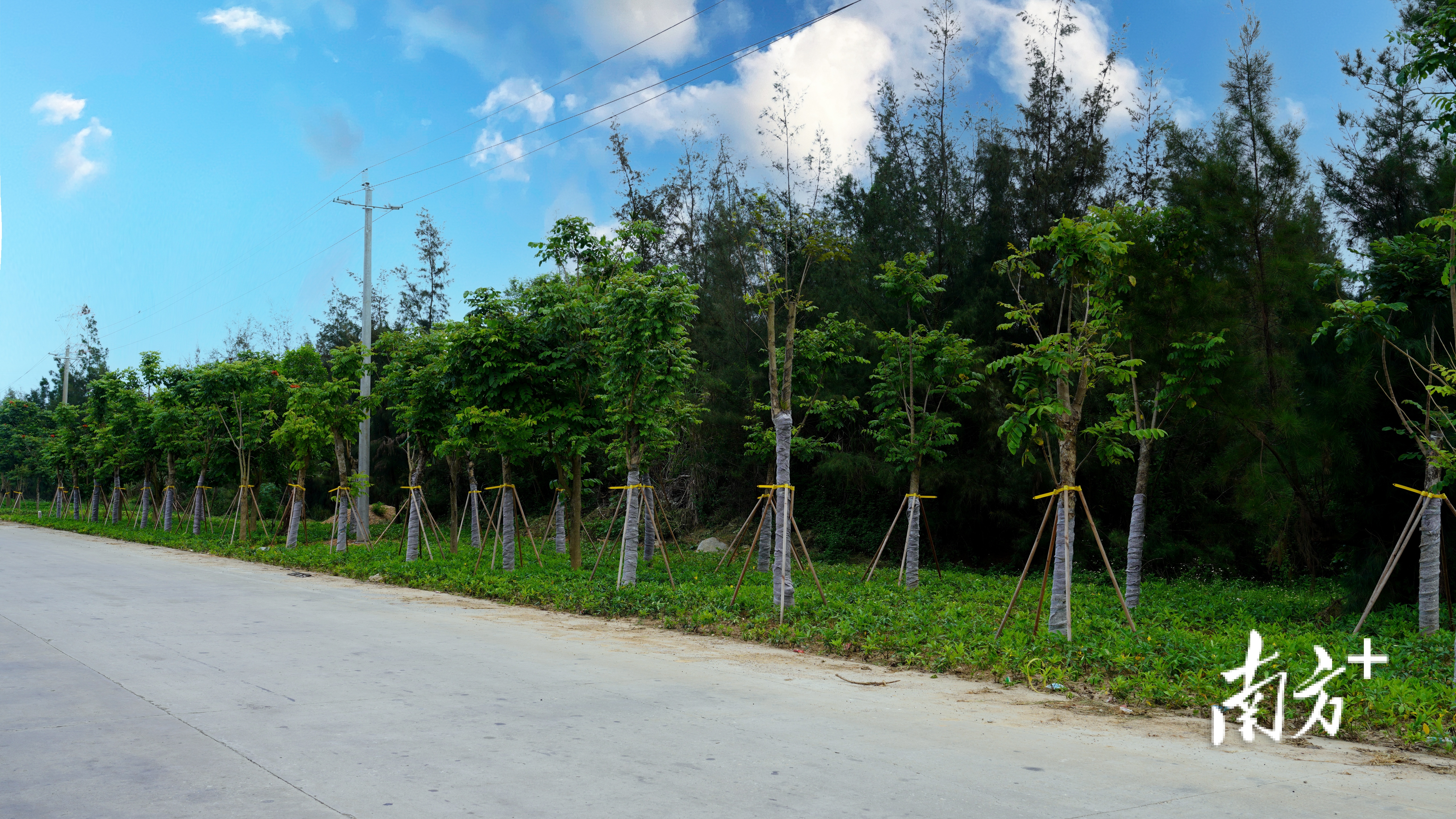 惠来滨海绿色长廊客鸟尾片区。惠来县自然资源局供图