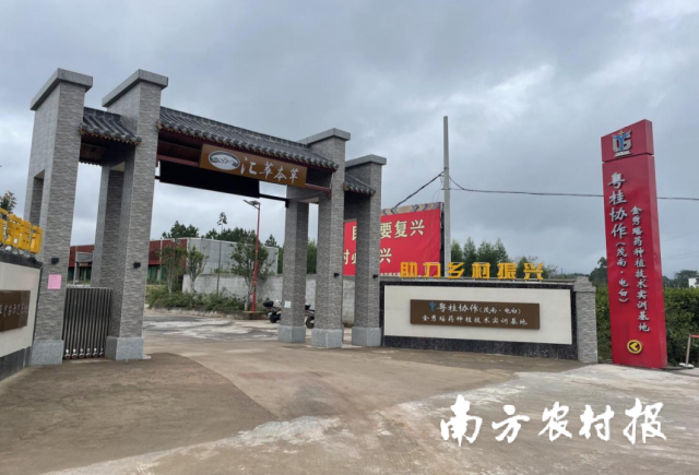粤桂协作资金建设的金秀瑶药产业技术实训基地。