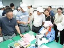 南方观察｜深圳企业密集调研江门，看中了什么？