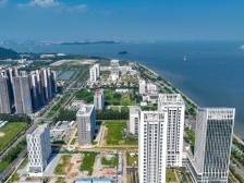 攻城拔寨角弓劲｜《南沙方案》一周年·党建深调研⑦