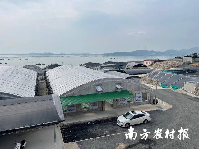 在饒平海山鎮(zhèn),，沿海遍布水產苗場。
