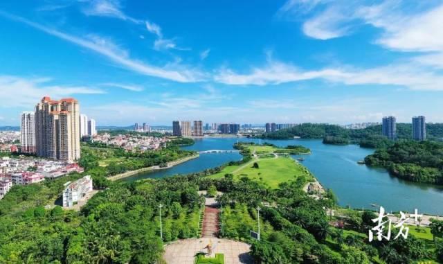 阳江市区鸳鸯湖.梁文栋 摄