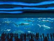 暑假去“听海”！这些滨海游景点你最喜欢哪个？