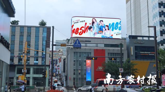 受訪者供圖
