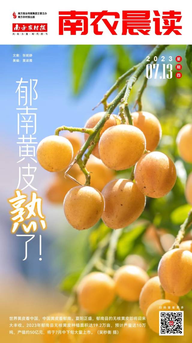 南方農(nóng)村報 樊靜東 制圖