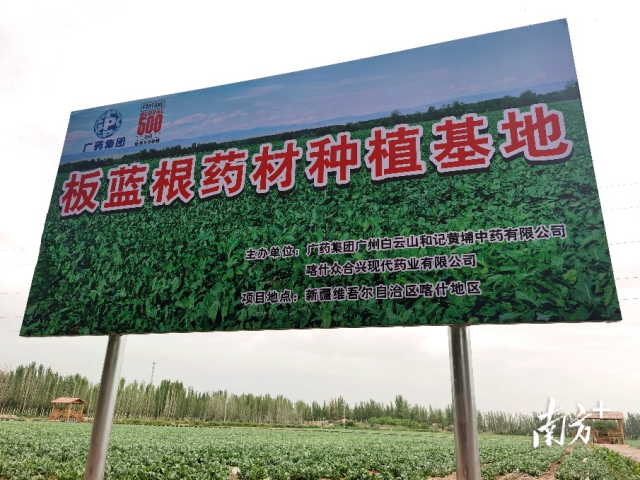 通讯员 白云山 供图