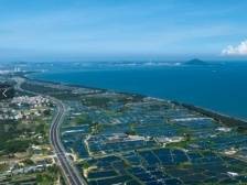 岭南盐仓｜滨海茂名 港城风采⑬