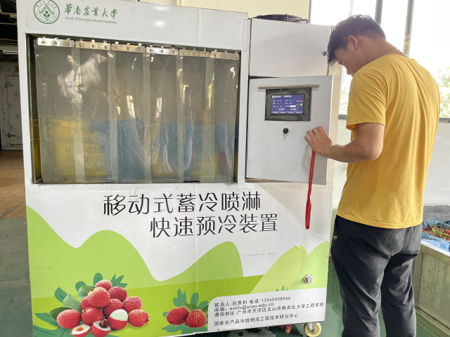 快速预冷，是出口荔枝保持新鲜的关键步骤。