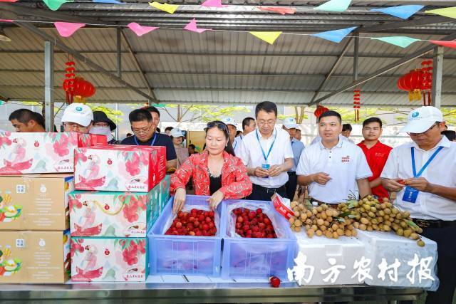 7月12日，全国农产品产地冷藏保鲜设施建设暨都市现代农业现场会在广州花都举办，由广东省农业技术推广中心主办的广东田头智慧小站展示活动同日举行，展示广东田头智慧小站建设成果和经验做法，尤其是高州荔枝等农产品产地冷藏保鲜设施建设的最新进展。