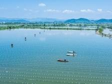 入选全国百强县，浙江这两个县有什么“致富密码”？|浙江“千万工程”调研行⑤