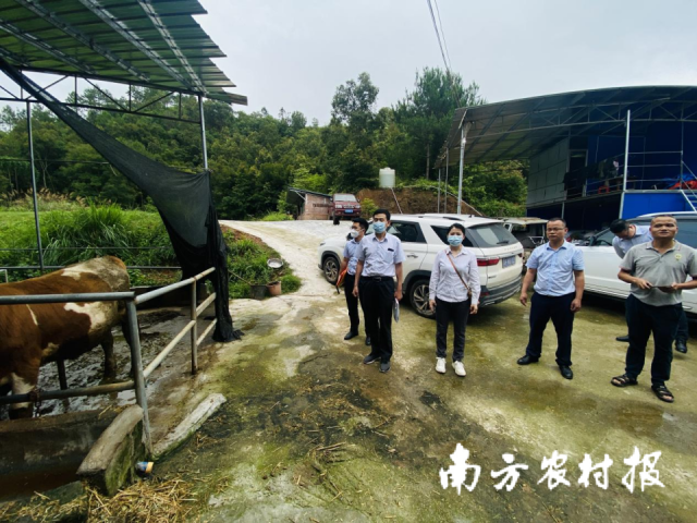 “保险+银行+供销社”模式，“贷”动乡村产业振兴