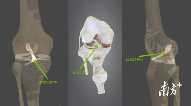 通讯员 二医 供图