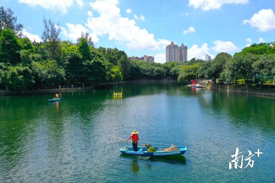 南方+记者 杨兴乐 摄