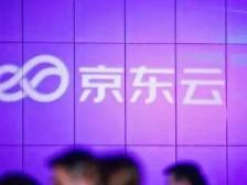 通用还是专用？京东给出这个答案｜大模型冲击波