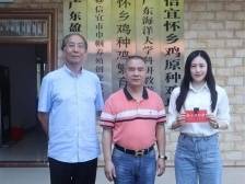 麒麟鸡正式出道！皮脆肉爽供不应求，背后是12年匠心保种