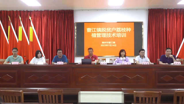荔枝大年之后如何管理？听听首席科学家怎么说