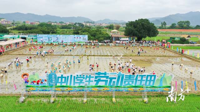 中小学生劳动在能记农场举办