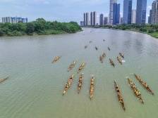 顺德将打造10个一平方公里城市品质提升示范区｜区委全会