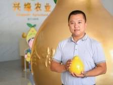 建新村“产业村长”林绿：完善金柚全链条强农富民|产业村长上岗 乡村振兴有方②