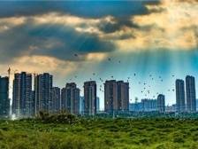 策划好项目大工程，为顺德未来3-5年发展争空间｜区委全会