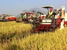 韶关：推动农机化工作高质量发展 加快建设农业强区