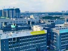 顺德要让“制造+服务”比翼齐飞、量质齐升｜区委全会