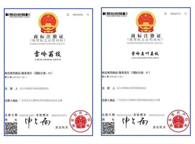 今年5月,，“雷嶺荔枝”“雷嶺烏葉荔枝”成功獲得地理標(biāo)志證明商標(biāo)注冊證書,。