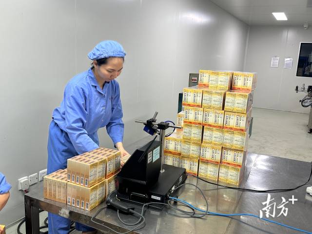 在广东恒健制药有限公司生产车间内,"位元堂"的麝香活络油已完成灌装