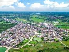 吴川：一条示范带 带出振兴新样板