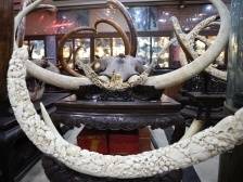 价值连城的牙雕，为什么在这里数以吨计？丨聚焦“百千万工程”