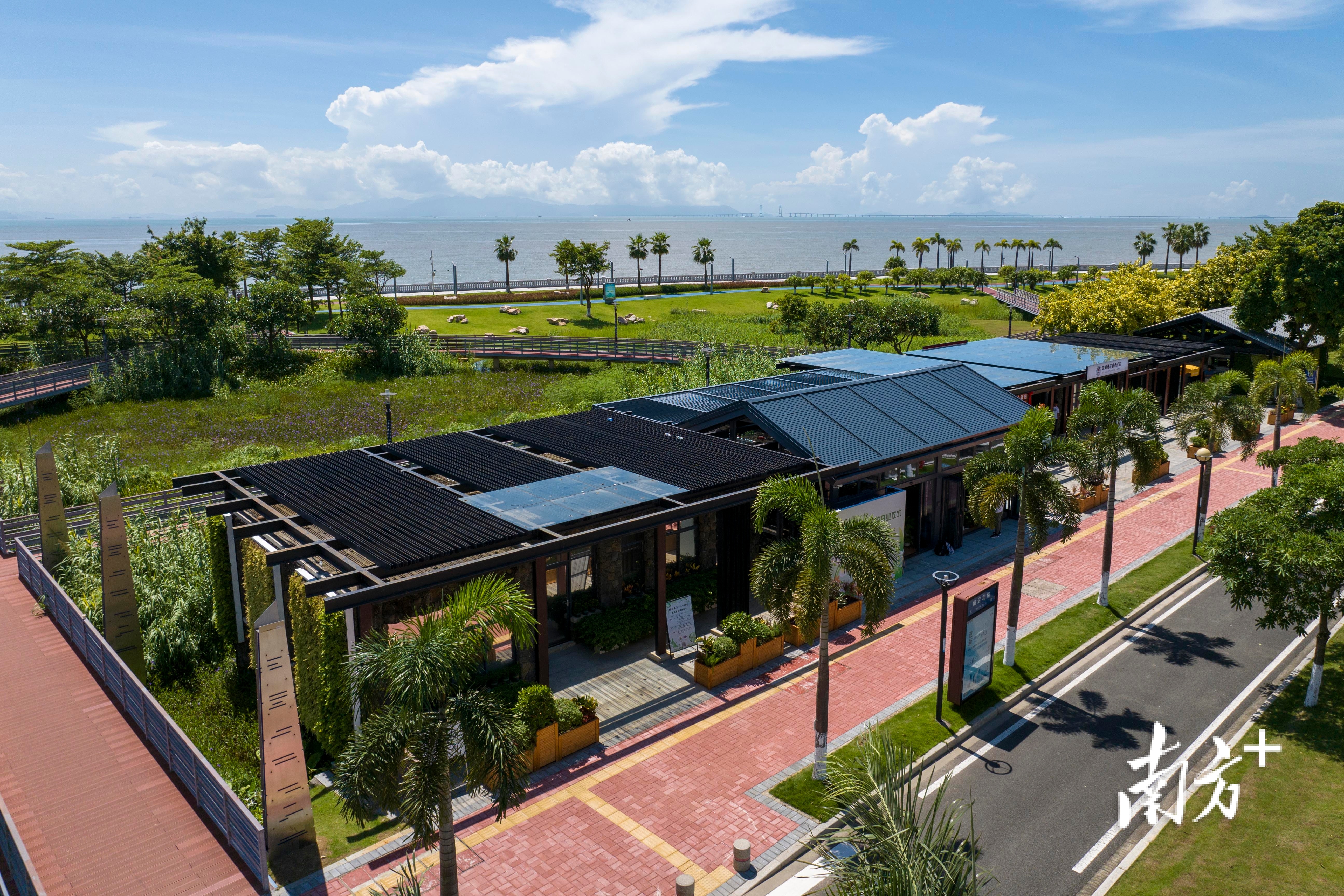 俯瞰绿美园艺植物体验馆。 俯瞰绿美园艺植物体验馆。