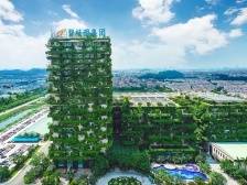 碧桂园：扎实落实“三保”工作，走高质量发展之路