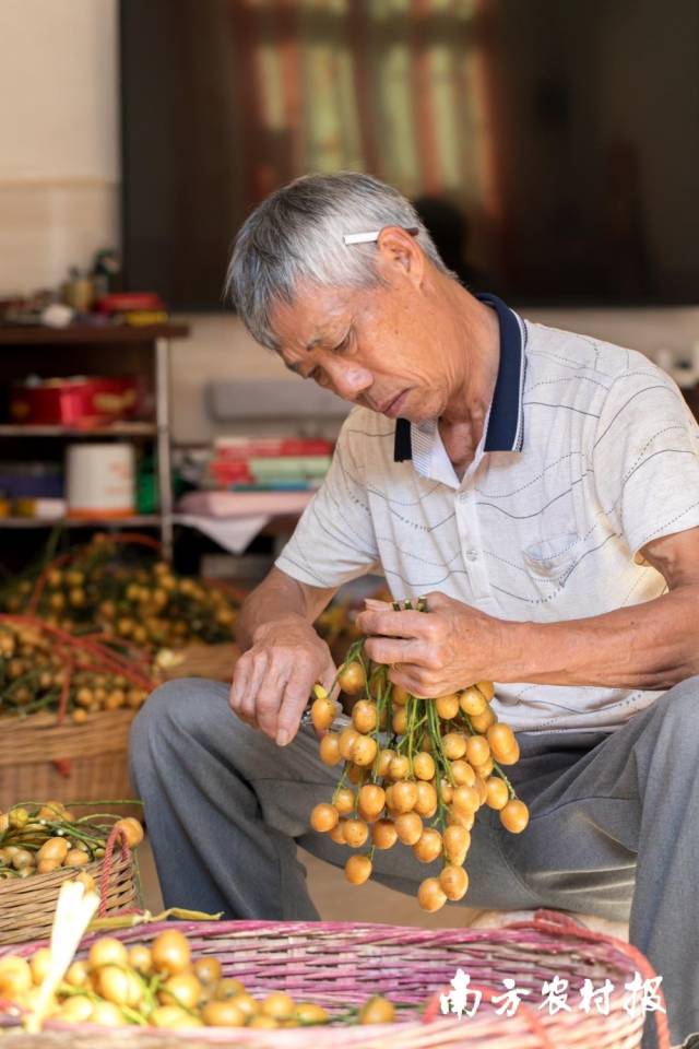 《丰收》 南方农村报 摄